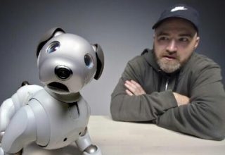 Robot evcil hayvanlar yapay zeka teknolojisi ile donatılacak