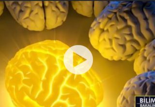 Bilim Bakalım-İnsan beyninin gizemi ve özellikleri…