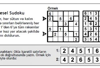 Bölgesel Sudoku Nasıl Çözülür?