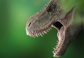 Bilimsel araştırma: Dünyada 2,5 milyar T-rex dinozor türü yaşadı