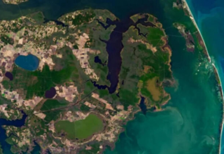 NASA yayınladı: ‘Hayalet orman’ uzaydan görüntülendi