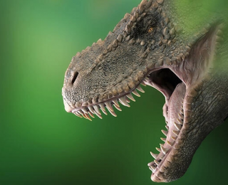 Bilimsel araştırma: Dünyada 2,5 milyar T-rex dinozor türü yaşadı