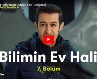 Bilimin Ev Hali | Doğa Olayları | TRT Belgesel