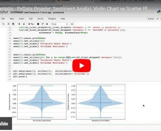 PyData Projeler | Sentiment Analizi | Violin Chart ve Scatter Plot ile Görsellestirme | Yakın Kampüs