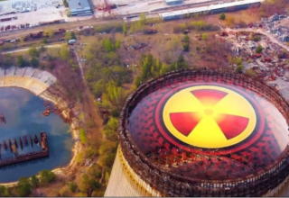 Çernobil’deki radyasyona maruz kalan köpekler evrim geçiriyor mu: İşte bilimin yanıtı